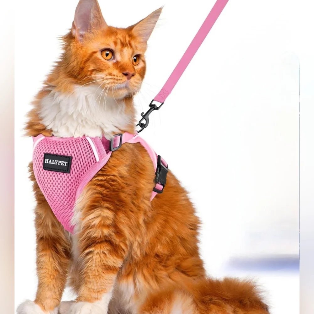 🌺 2/$20. NWT Halypet Cat Harness and Leash Set, Medium (D5)